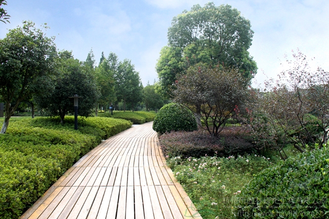 太阳GG·(中国区)官方网站