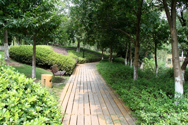 太阳GG·(中国区)官方网站