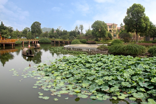 太阳GG·(中国区)官方网站