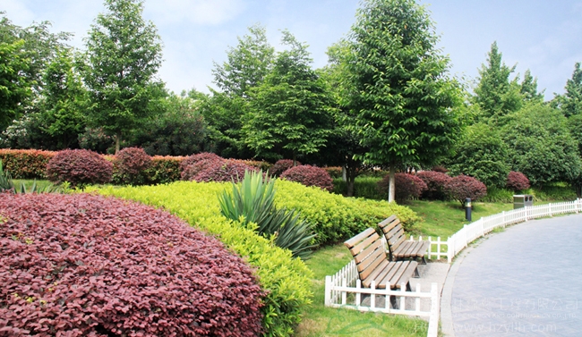 太阳GG·(中国区)官方网站