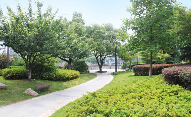 太阳GG·(中国区)官方网站