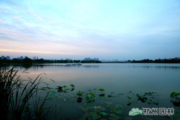 太阳GG·(中国区)官方网站