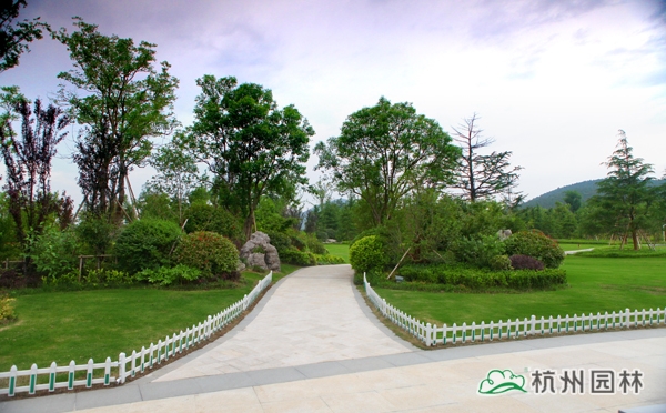 太阳GG·(中国区)官方网站