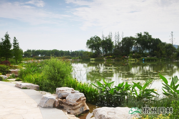 太阳GG·(中国区)官方网站