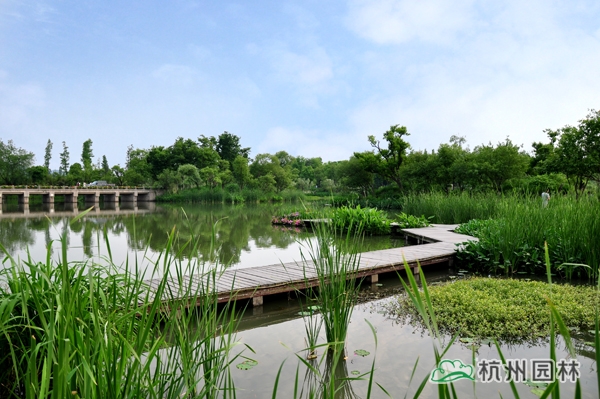 太阳GG·(中国区)官方网站