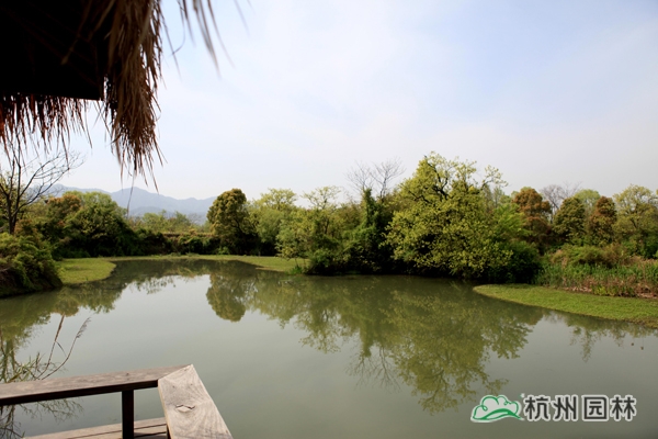 太阳GG·(中国区)官方网站