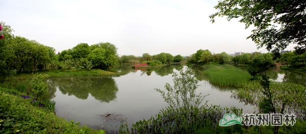 太阳GG·(中国区)官方网站