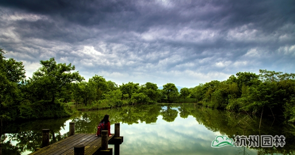 太阳GG·(中国区)官方网站