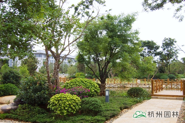 太阳GG·(中国区)官方网站