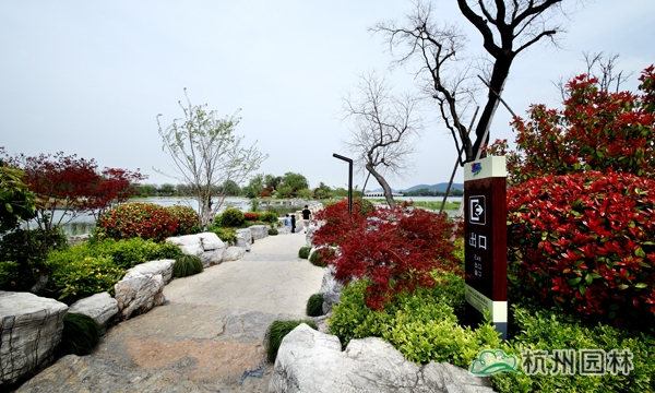 太阳GG·(中国区)官方网站