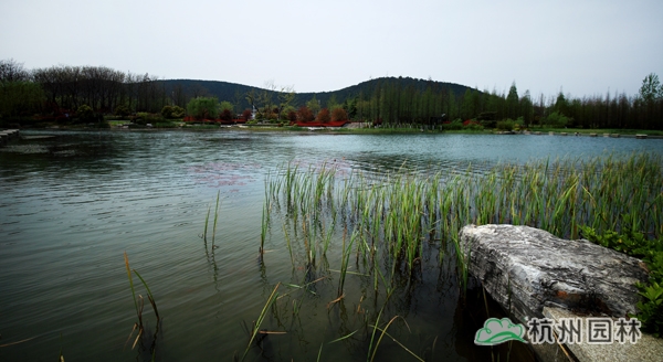 太阳GG·(中国区)官方网站