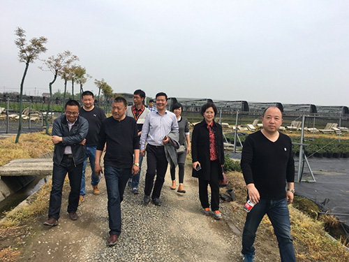 太阳GG·(中国区)官方网站