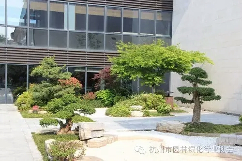 太阳GG·(中国区)官方网站
