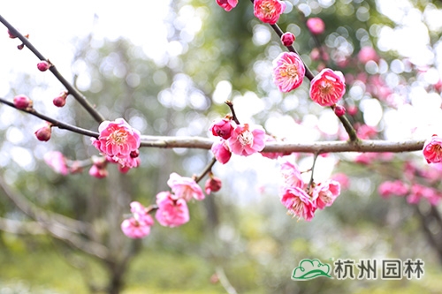 太阳GG·(中国区)官方网站