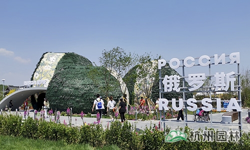 太阳GG·(中国区)官方网站